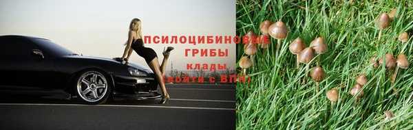 таблы Арсеньев